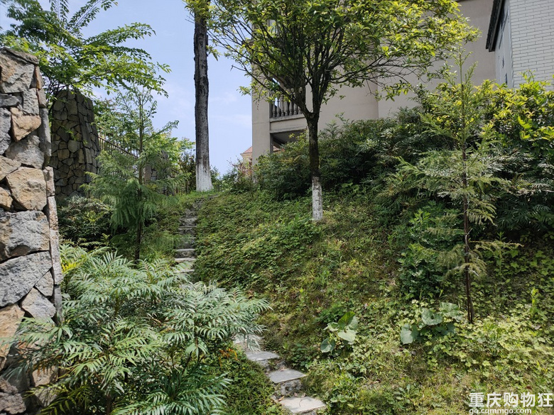 黑山谷避暑房一楼，带200个平方花园出售