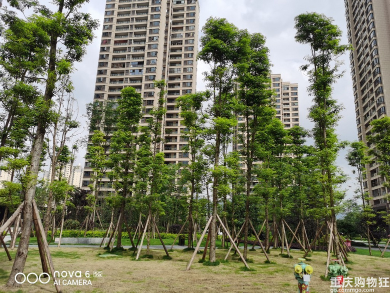 亏一大坨出售巴南【中建滨江星城】134平的清水房，鱼洞四小