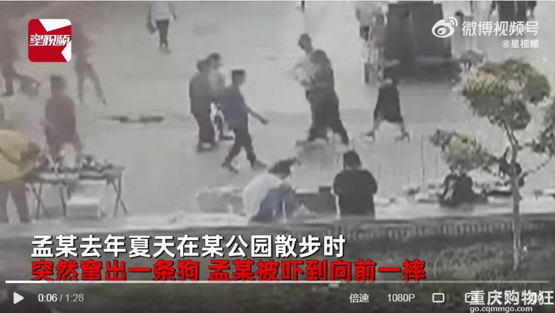 200斤男子被未拴绳狗吓摔倒，将路人压骨折：找不到主人赔偿犯难