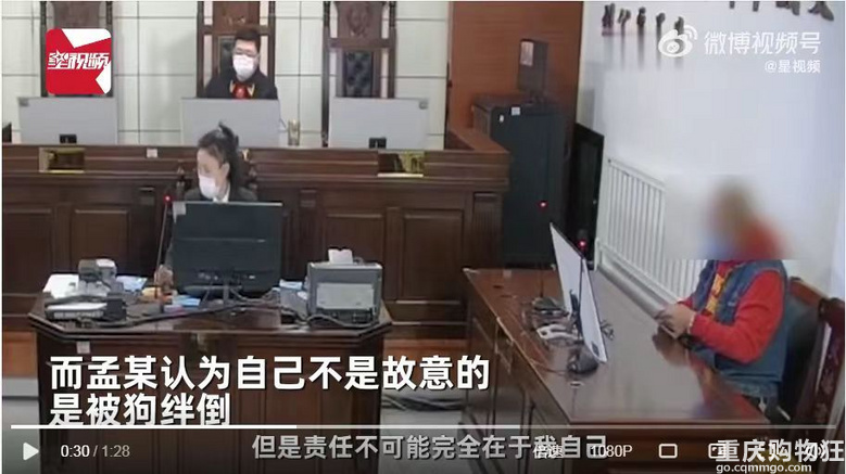 200斤男子被未拴绳狗吓摔倒，将路人压骨折：找不到主人赔偿犯难