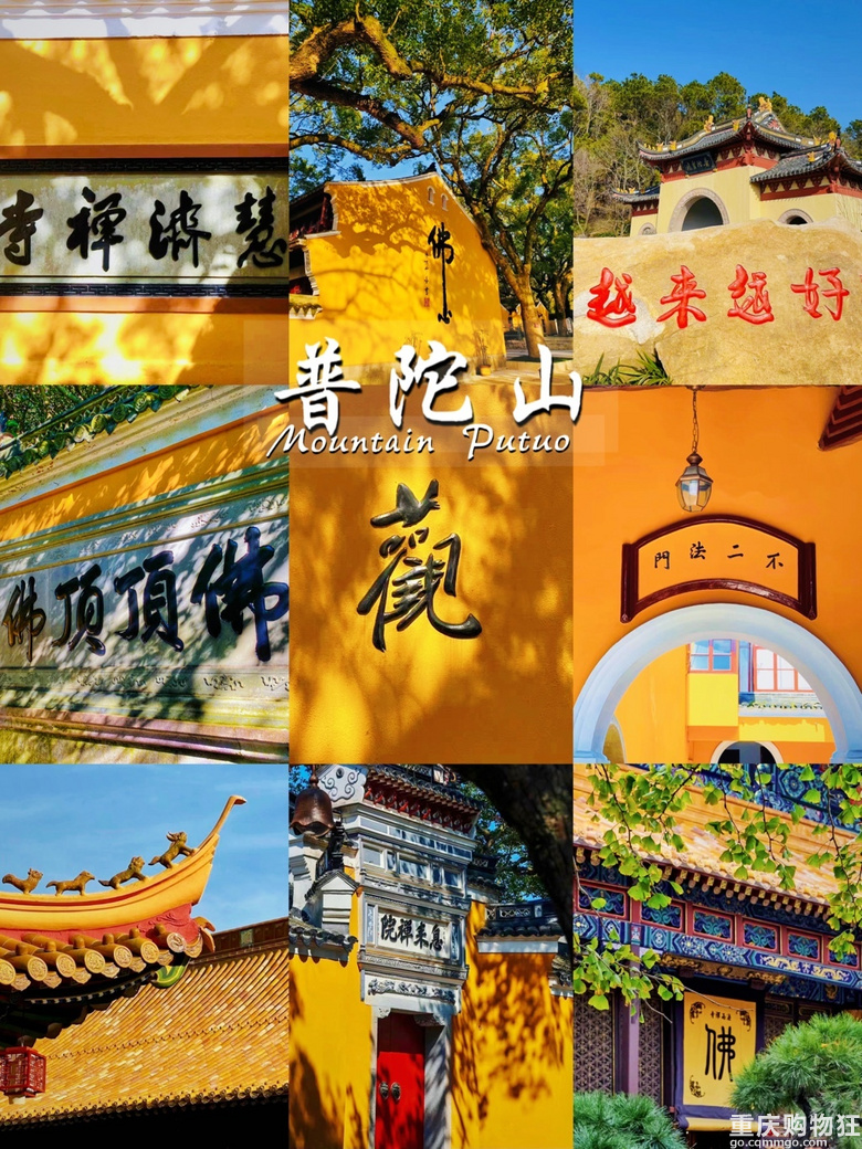 在上班和上进之间选择了上香的年轻人，据说普陀山求姻缘很灵