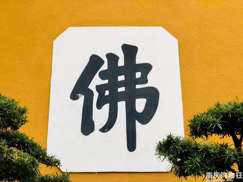 在上班和上进之间选择了上香的年轻人，据说普陀山求姻缘很灵