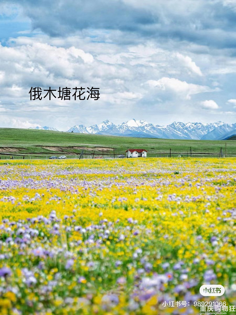 端午自驾露营川北草原捞队友