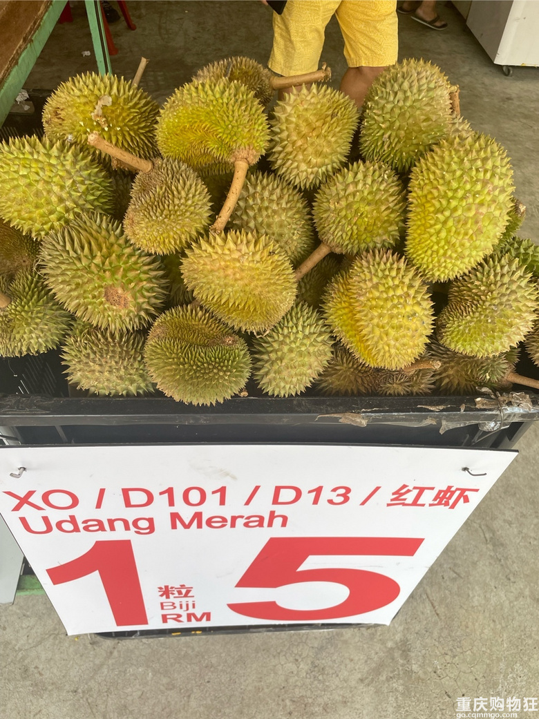 自由行马来西亚记录ing