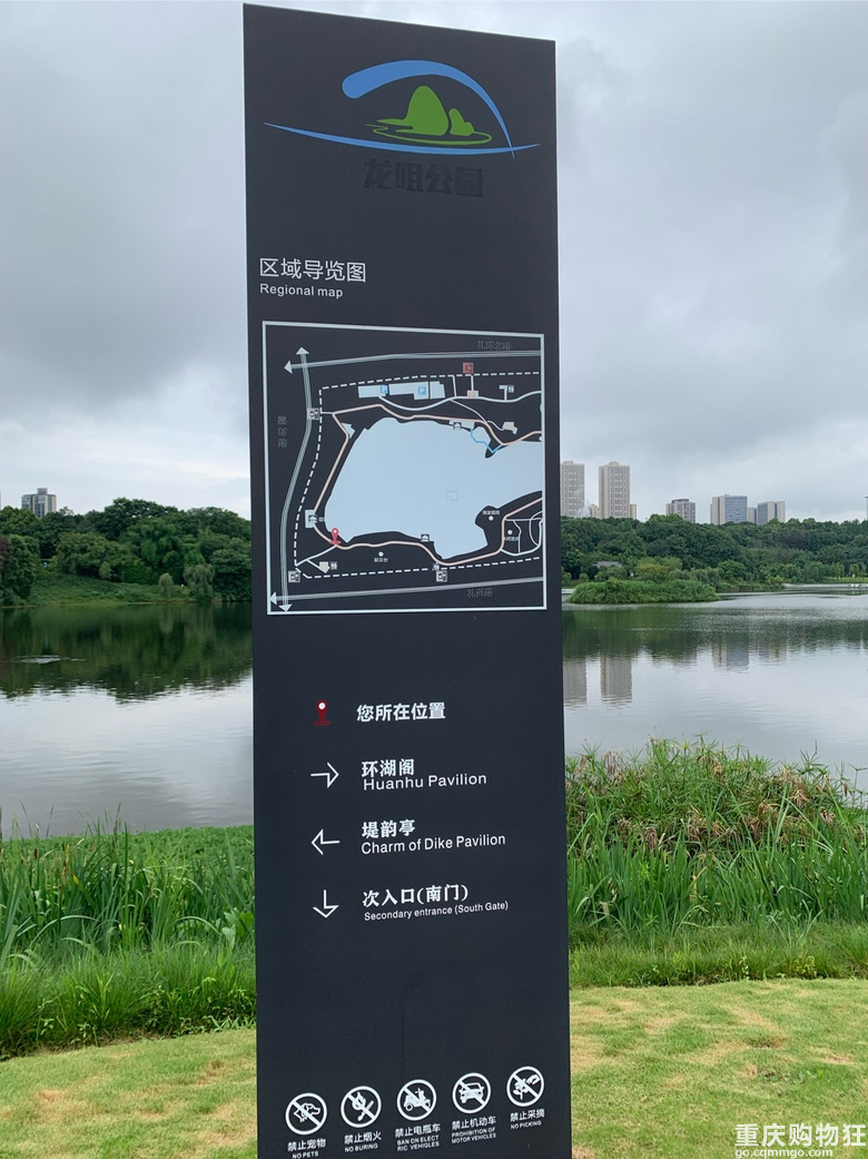 滞雨通宵又彻明，绿荷相倚满池塘