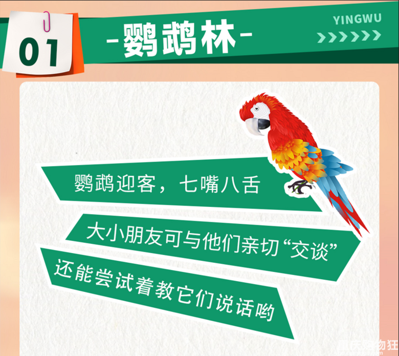 来江边一夏奇妙萌宠园RUA小动物啦！限定19.9元早鸟票等你抢