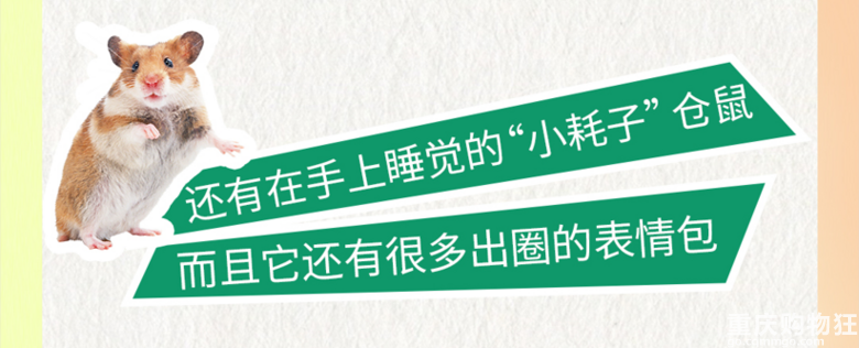 来江边一夏奇妙萌宠园RUA小动物啦！限定19.9元早鸟票等你抢
