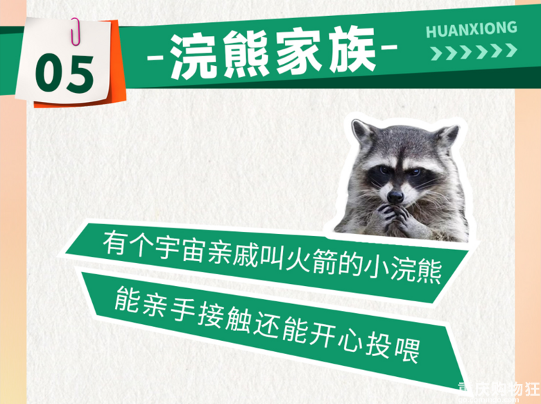 来江边一夏奇妙萌宠园RUA小动物啦！限定19.9元早鸟票等你抢