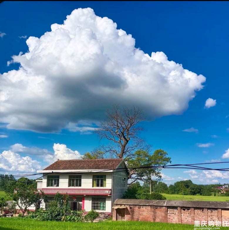 想看看你们窗外的风景