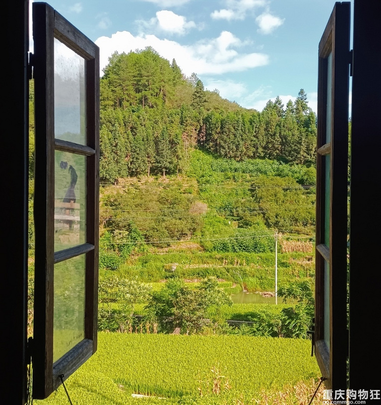 想看看你们窗外的风景