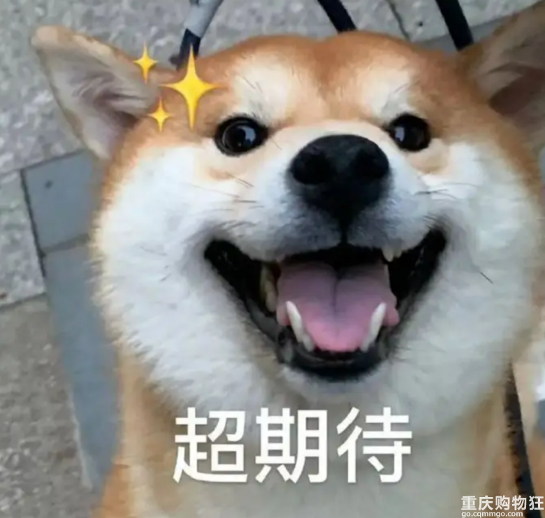 通车倒计时！轨道交通10号线二期兰花路至后堡段顺利通过验收！