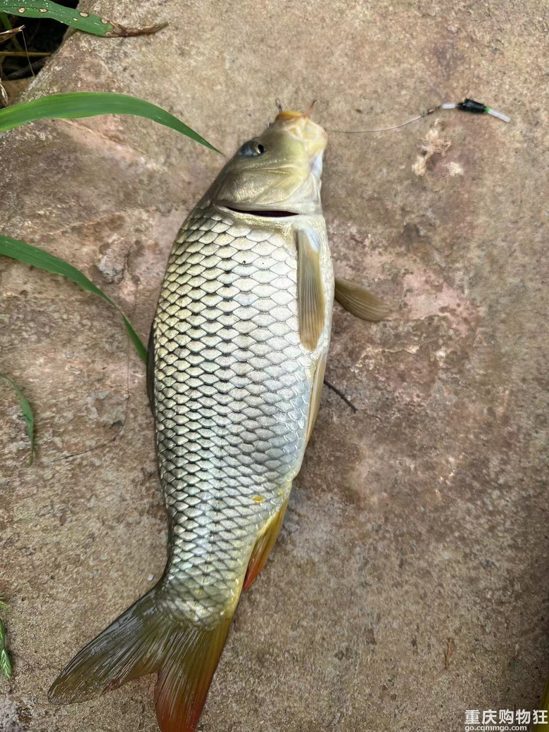 万般皆是缘，半点不由人