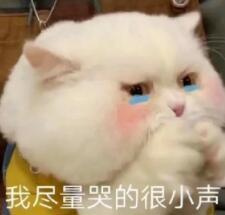 超丰富的重庆室内闲逛合集，不受天气影响，都能逛到嗨起！！