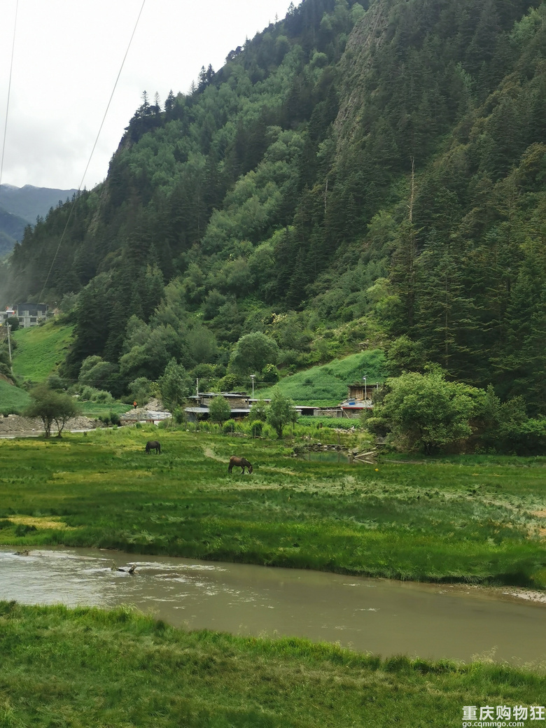 【2023年 夏】重庆-卧龙-巴郎山-达维-夹金山-宝兴-雅安-重庆