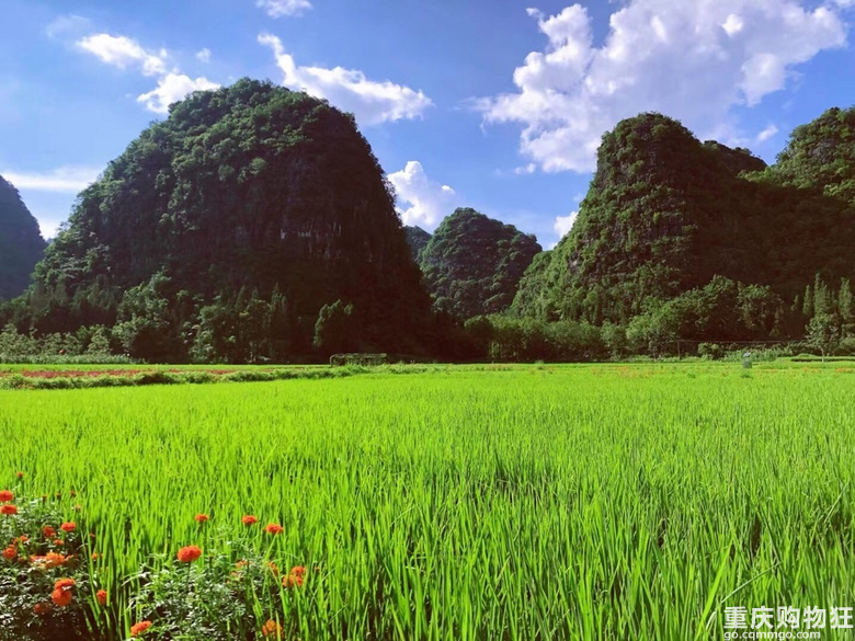是《稻香》里的夏天呀～
