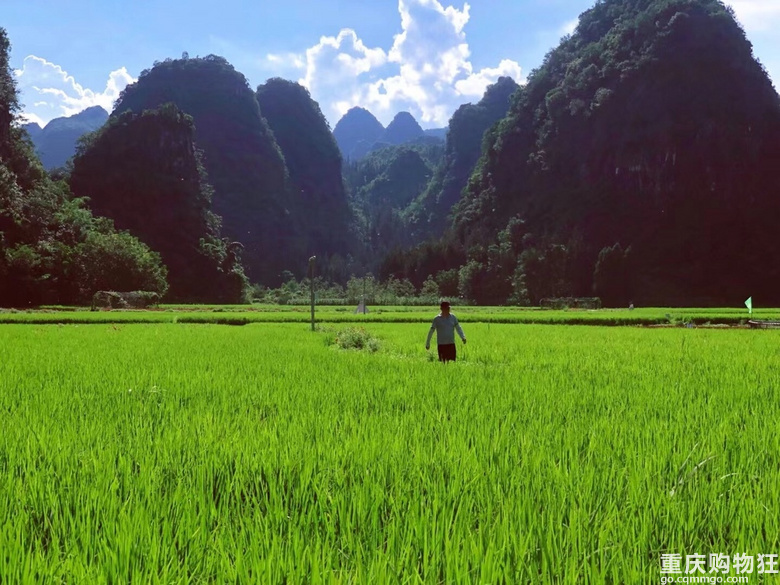 是《稻香》里的夏天呀～