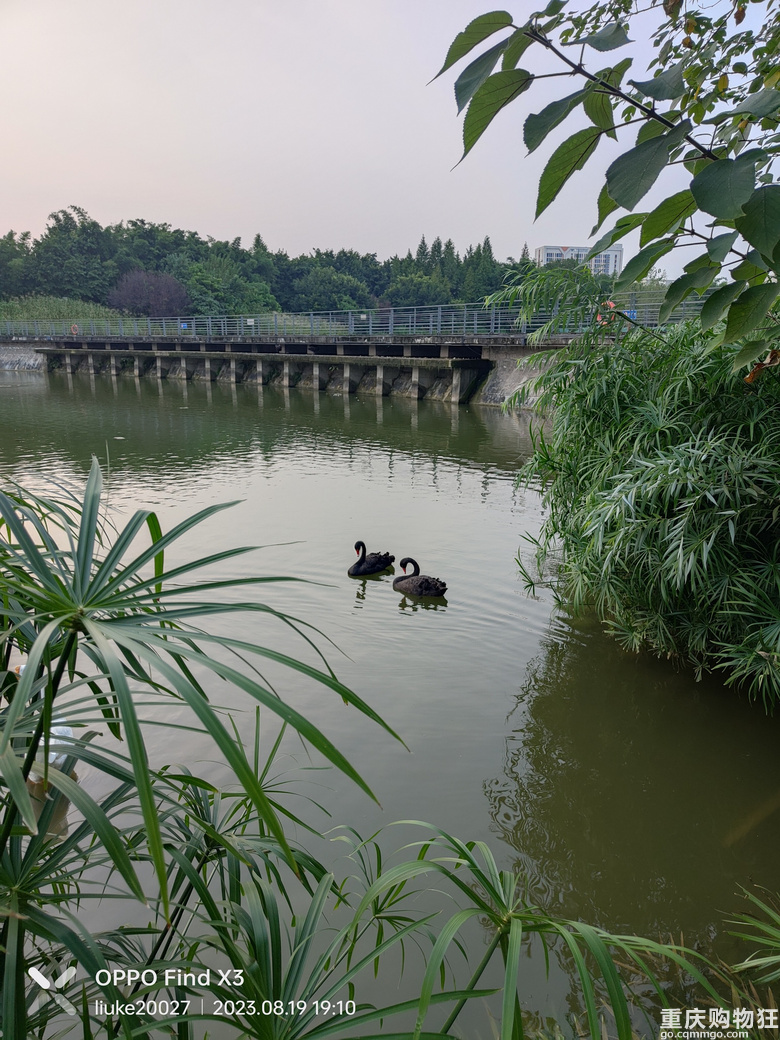 暑期，骑行，重庆交通大学（科学城校区）游