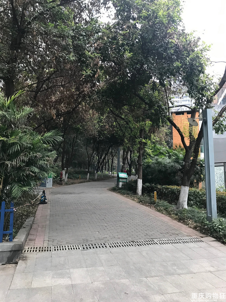 南岸老小区买新房，为父母装修的心路历程
