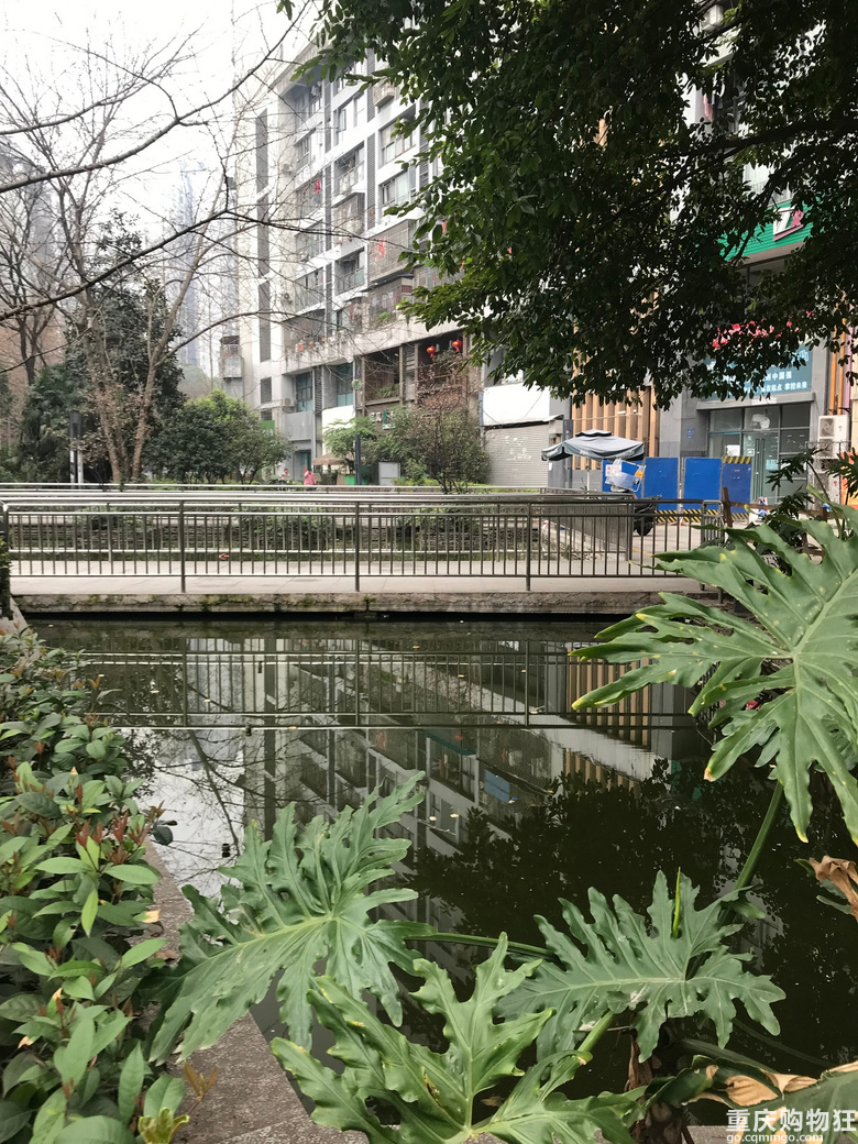 南岸老小区买新房，为父母装修的心路历程