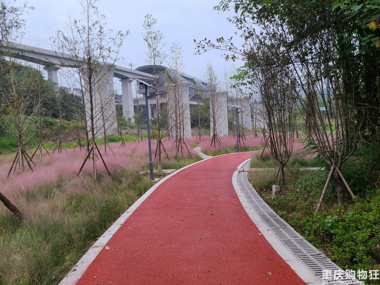 南岸区茶园新区刘家坪保利堂悦洋房急售，建面118平套内102