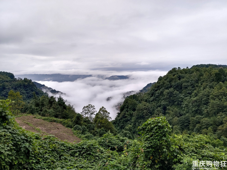 假期去山里呼吸新鲜空气