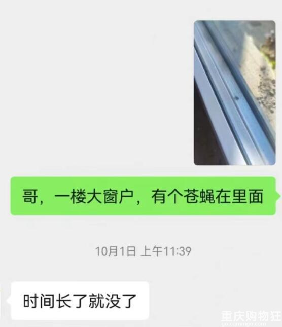 几万块做的玻璃夹层里有一只苍蝇，现在真的感觉像吃了苍蝇