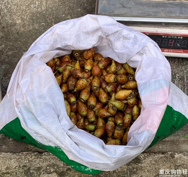 ����6�c��4̖��ȥʯ���s�������Ю�ͦ�࣬С悺��������