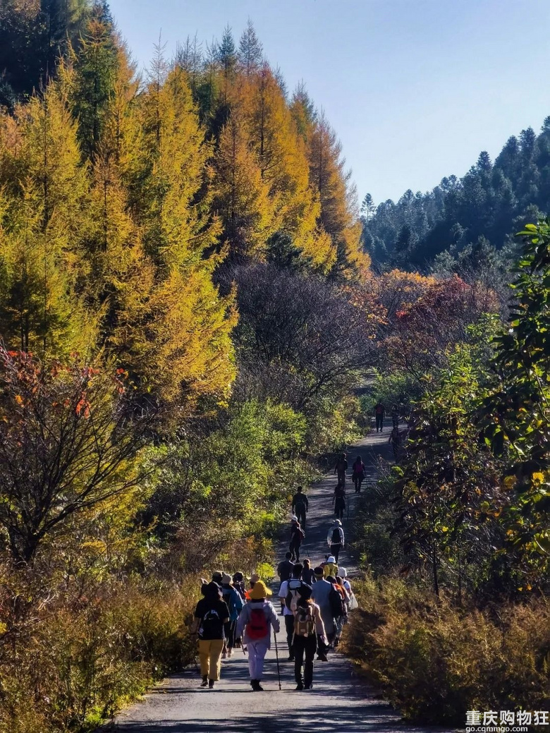 重庆周边，金秋小众宝藏徒步路线天花板