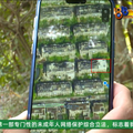 邻居地下室挖到“我”家，这房子可是四千万买的_图4