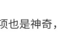 炸裂离谱到难以形容！李金铭这些事竟然是真实发生的吗？