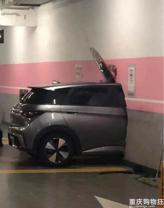 海豚地下室撞穿主体墙，这算是什么水平？