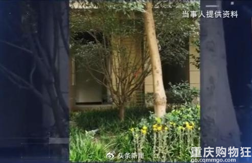 杭州保姆带女童回女儿家致其坠亡后续，保姆女儿无责自愿赔20万