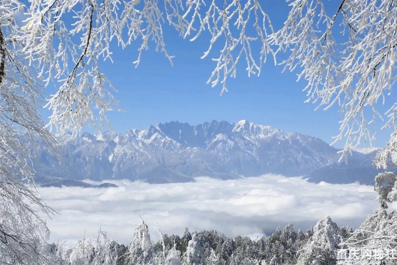 元旦重庆出发耍雪线路