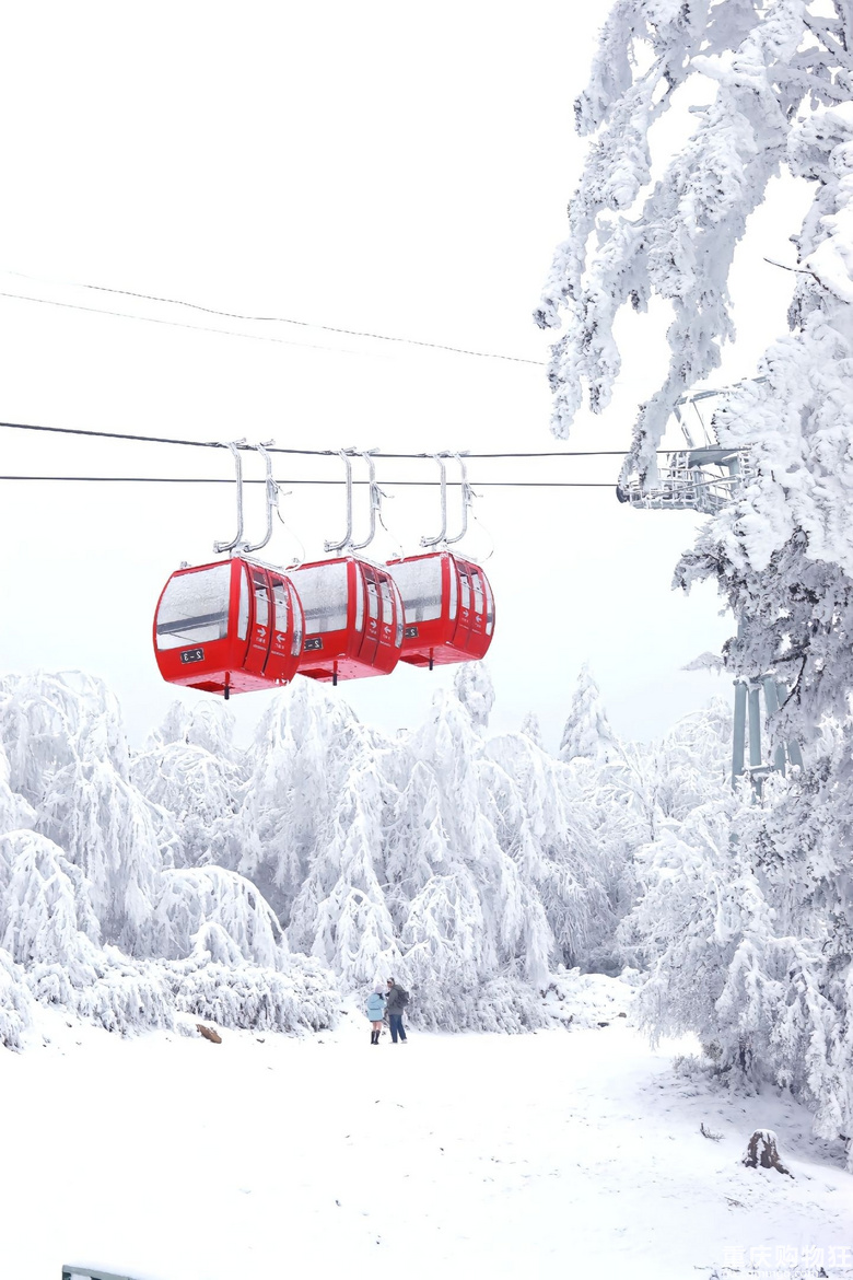 元旦重庆出发耍雪线路
