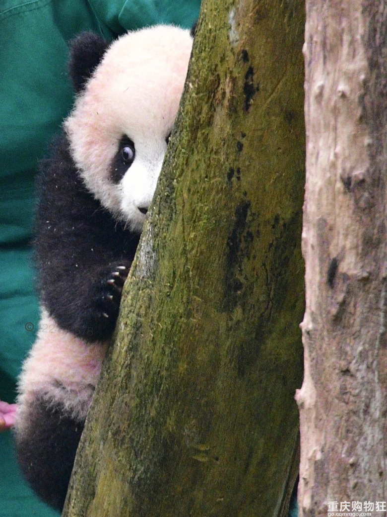 重动大明星：莽小五的眼睛都要瞪出来了