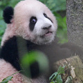 重动大明星：莽小五的眼睛都要瞪出来了