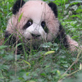 重动大明星：莽小五的眼睛都要瞪出来了