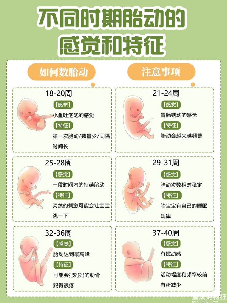 孕妈妈必看:宝宝胎动不同时期的特征及感觉-备孕怀孕-重庆购物狂
