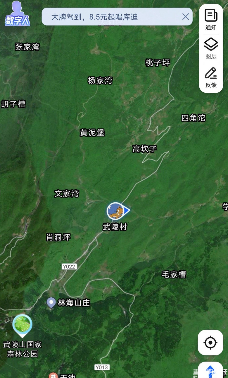 涪陵七鹿坪徒步赏雪-武陵山下