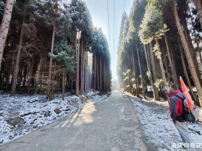涪陵七鹿坪徒步赏雪-武陵山下