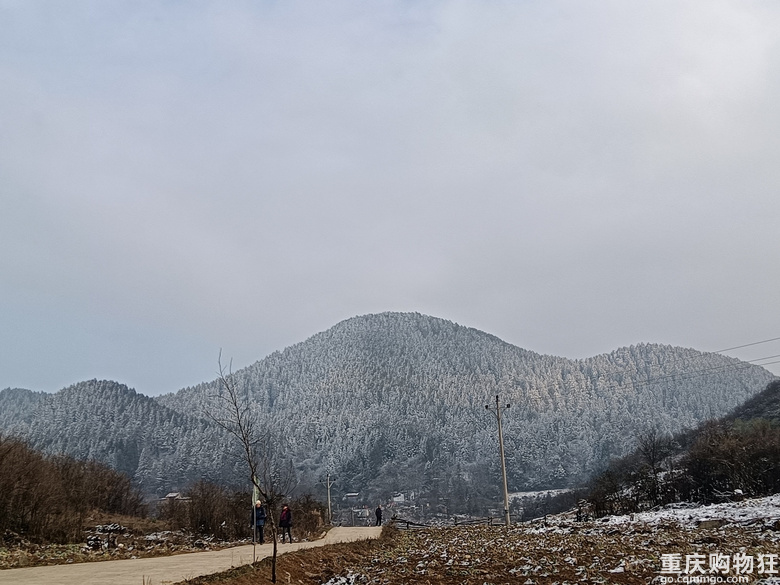涪陵七鹿坪徒步赏雪-武陵山下