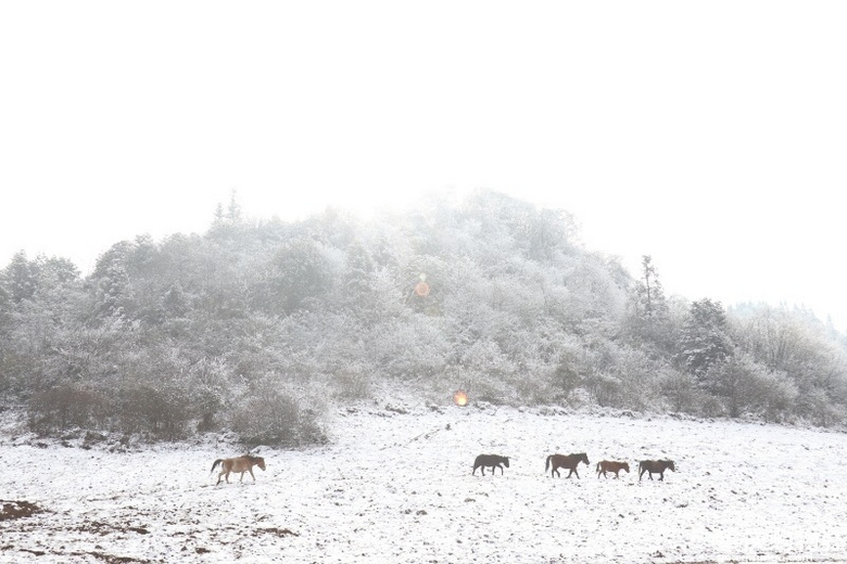 涪陵七鹿坪徒步赏雪-武陵山下