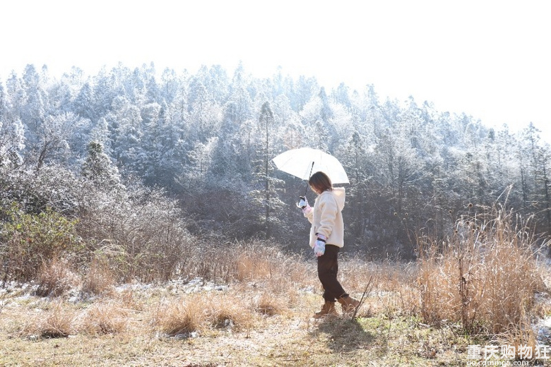 涪陵七鹿坪徒步赏雪-武陵山下