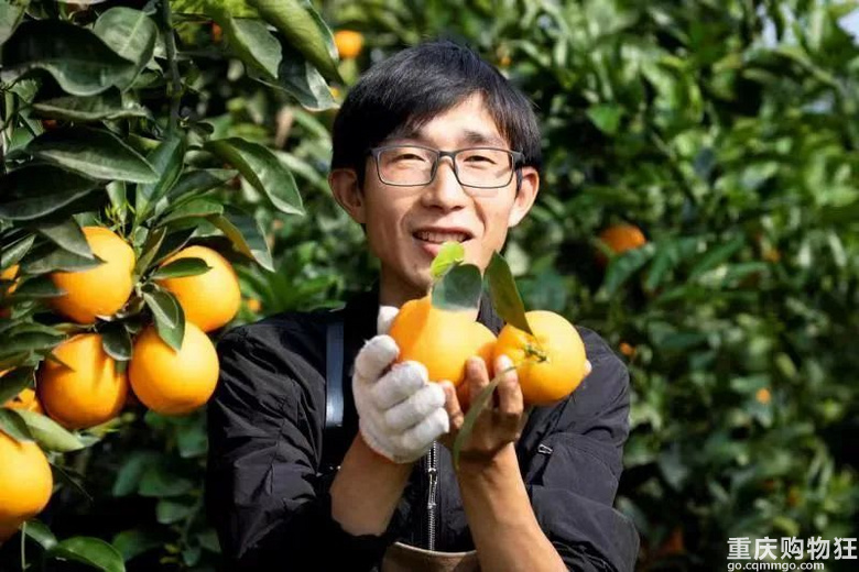 橘子红了！重庆柑橘采摘地图来了→