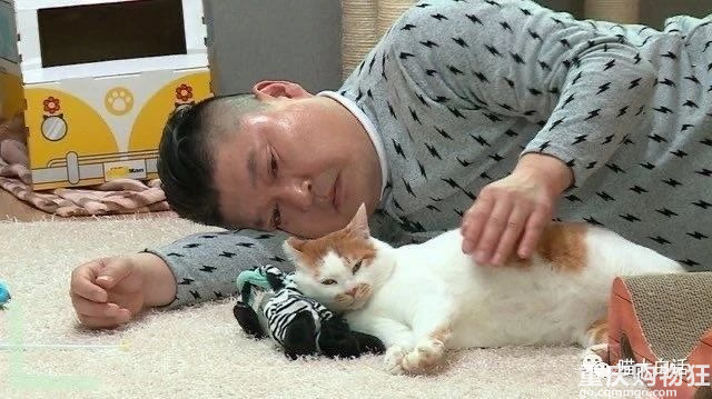 上班总是被领导占小便宜，怎么办？打工人是懂报复的哈哈哈哈哈