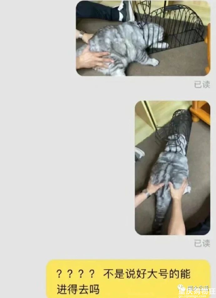 上班总是被领导占小便宜，怎么办？打工人是懂报复的哈哈哈哈哈