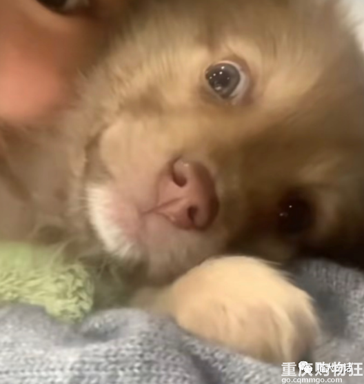 上班总是被领导占小便宜，怎么办？打工人是懂报复的哈哈哈哈哈