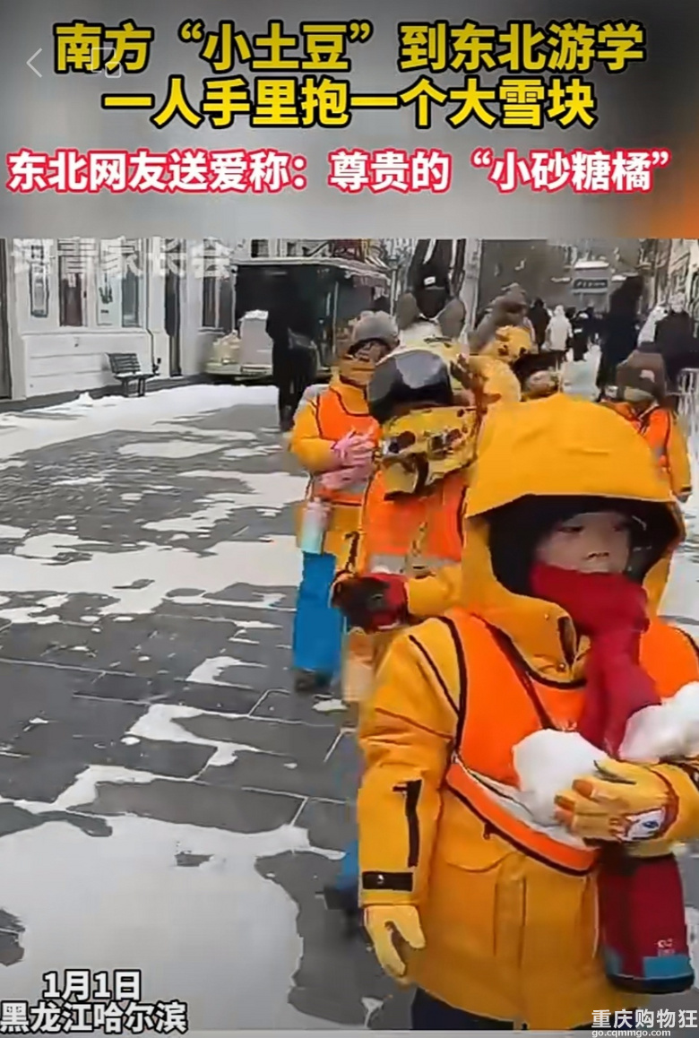 11个砂糖橘殿下游学哈尔滨，全网帮忙看孩子