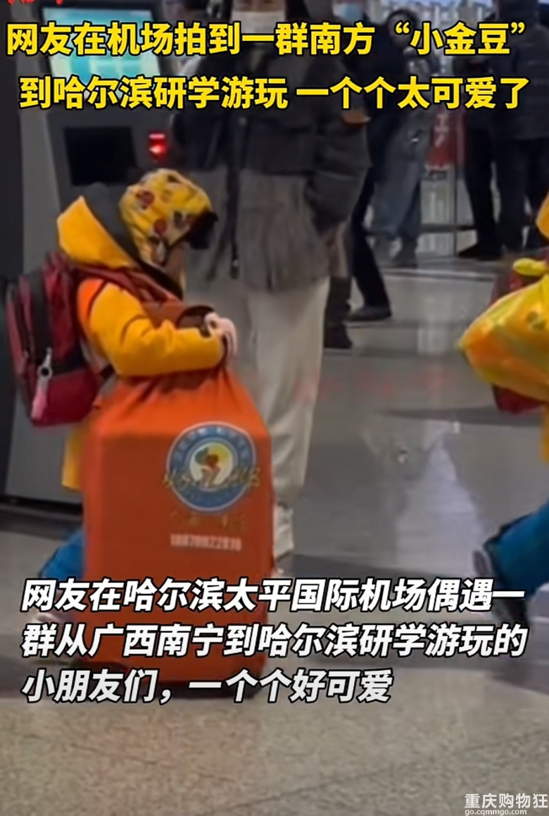 11个砂糖橘殿下游学哈尔滨，全网帮忙看孩子