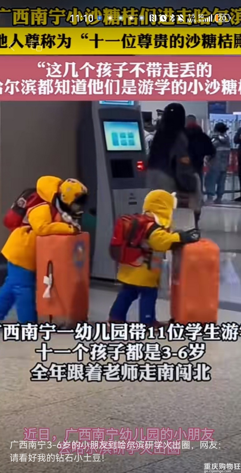 11个砂糖橘殿下游学哈尔滨，全网帮忙看孩子